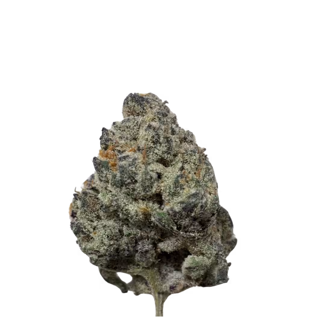 Patek Sativa - Hybrid Exotic Indoor Grown THCA Flower - Online Only