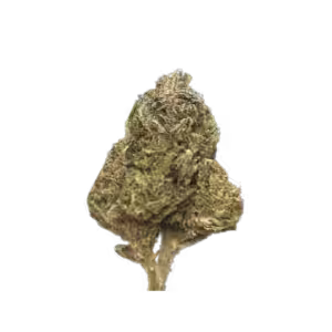 3.5G BLACK CHERRY SODA - HYBRID - Indoor Grown Flower - THCA