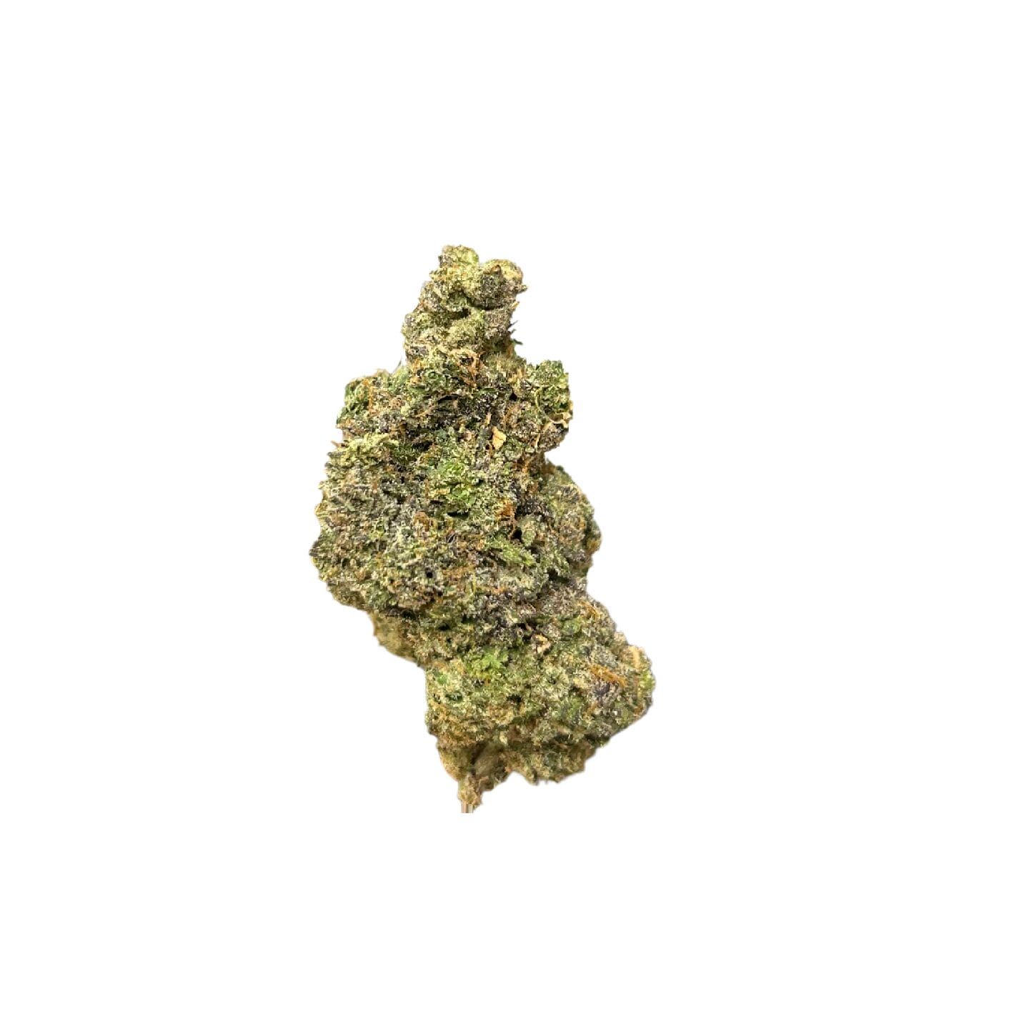 Sherb Cream Pie Hybrid Exotic Indoor Grown THCA Flower - Online Only