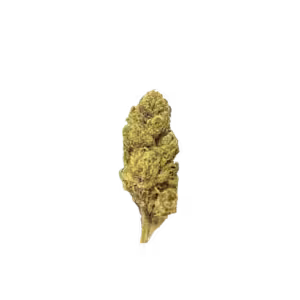 3.5G Bolo Runtz - HYBRID - Indoor Grown Flower - THCA