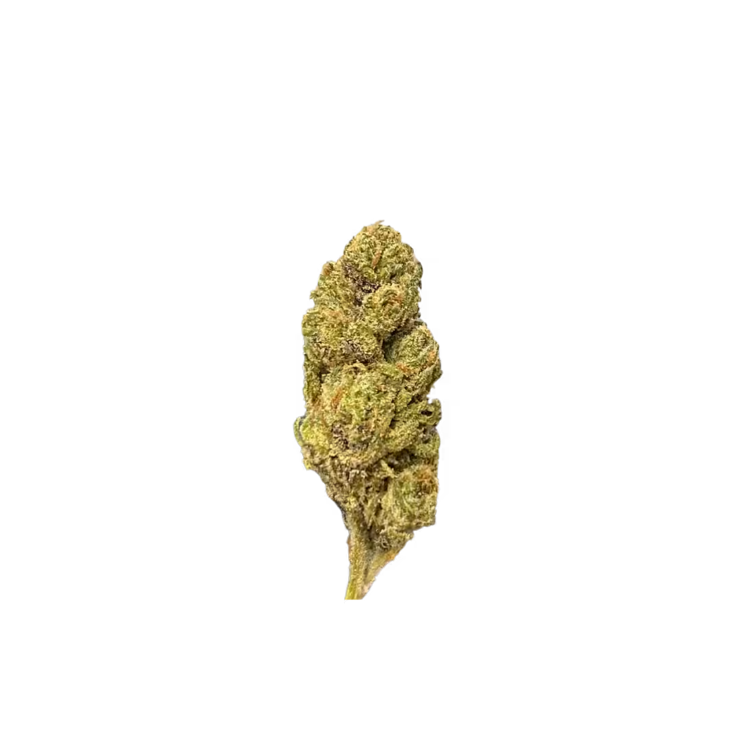 Sugar High Gumdrops Sativa-Hybrid Exotic Indoor Grown THCA Flower - Online Only